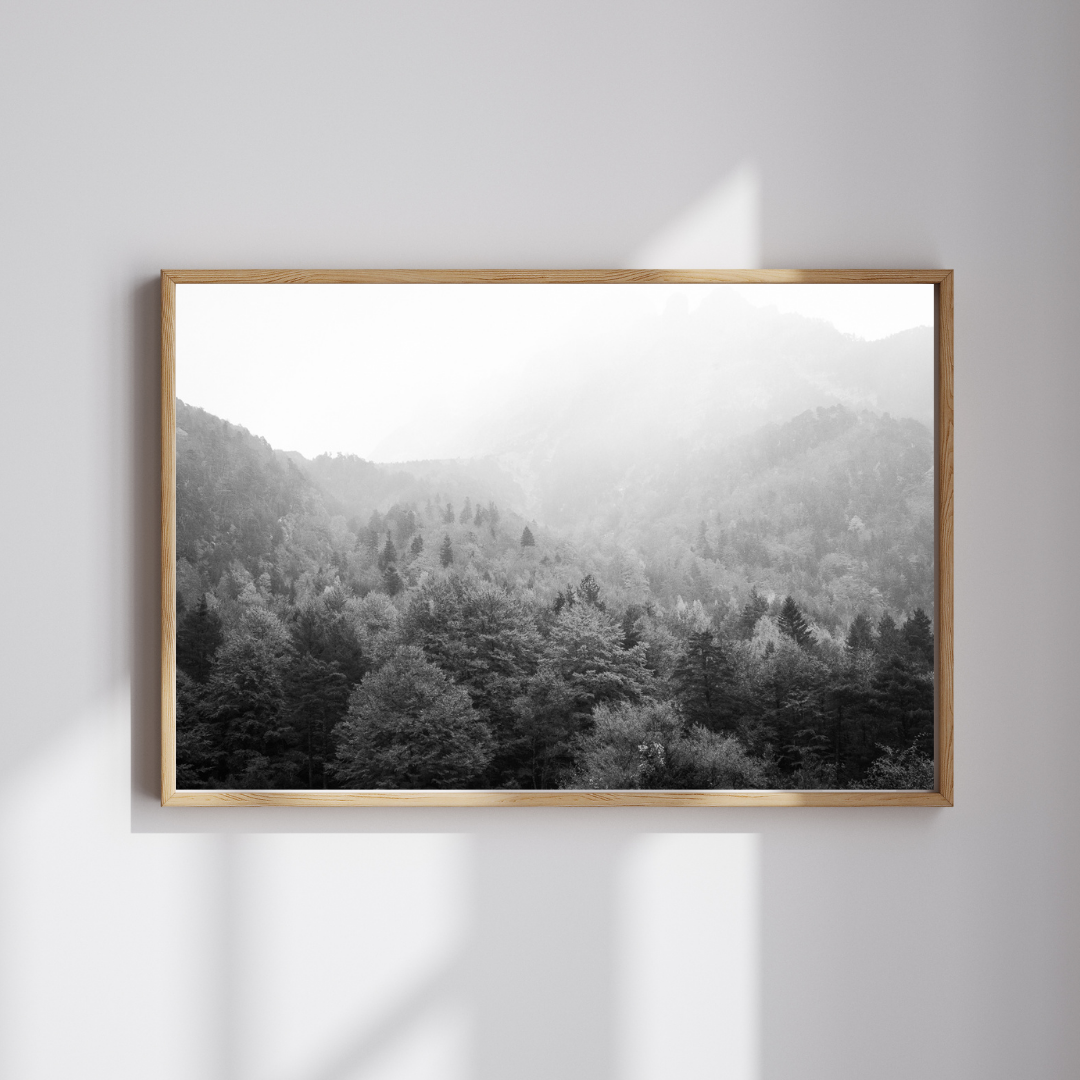 Póster decorativo fotografía paisaje boscoso en blanco y negro