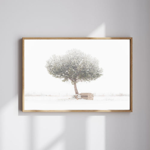 Póster decorativo minimalista de árbol en paisaje nevado 50x70